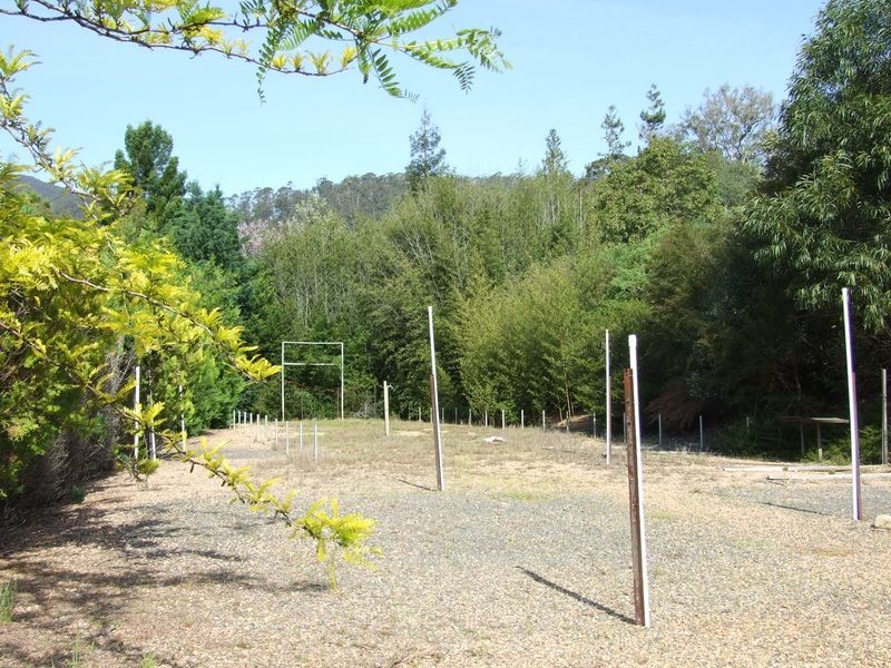 12780 Princes Highway, Brogo NSW 2550