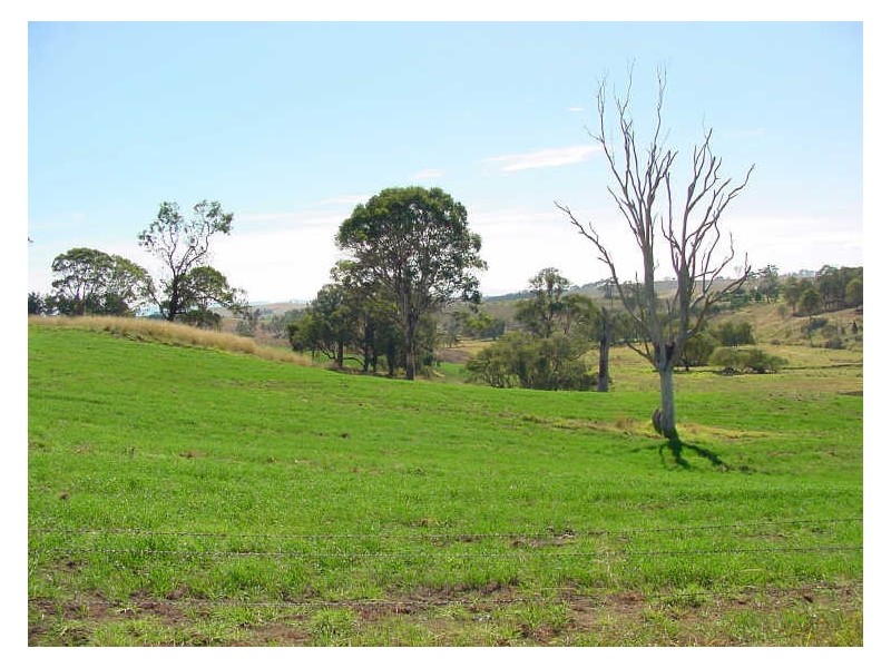 Lot 5 Ramseys Road, Candelo NSW 2550