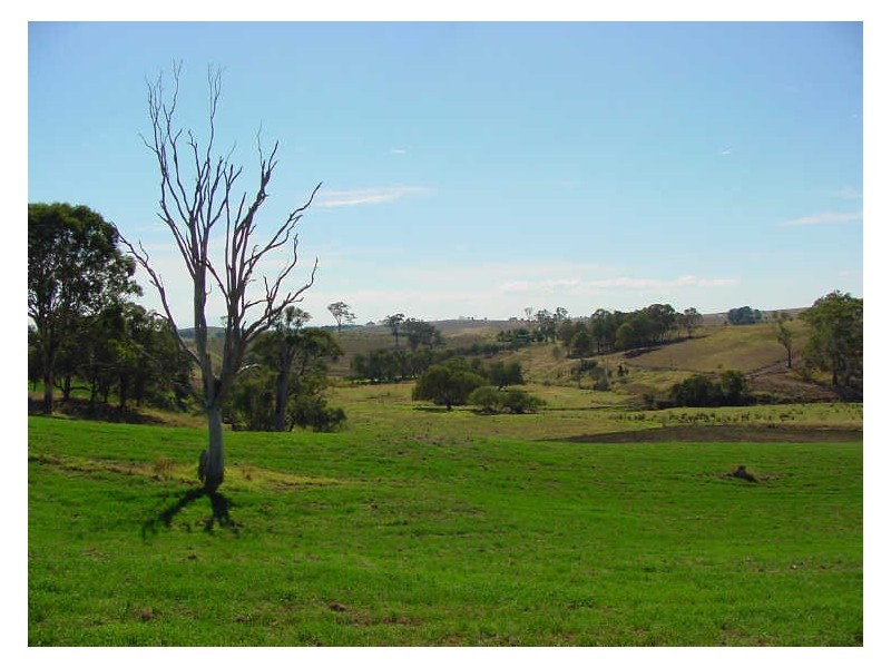 Lot 5 Ramseys Road, Candelo NSW 2550