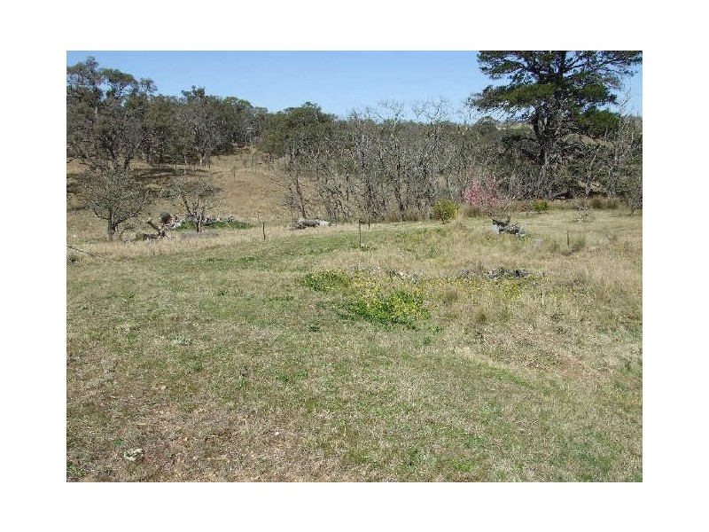 552 Nigara Lane, Candelo NSW 2550