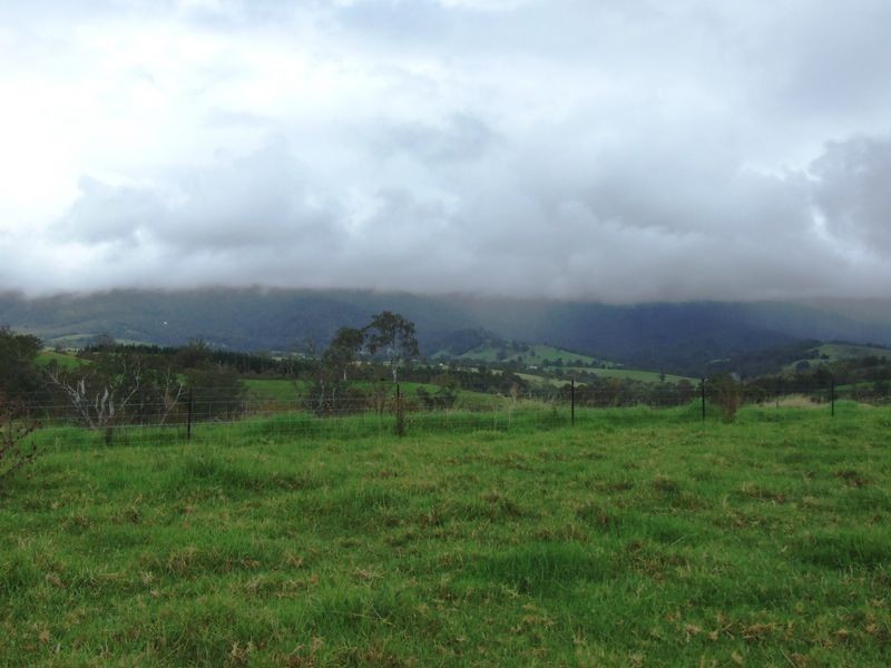 The Paddock Snowy Mountains Highway, Bemboka NSW 2550