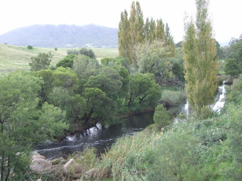 The Paddock Snowy Mountains Highway, Bemboka NSW 2550
