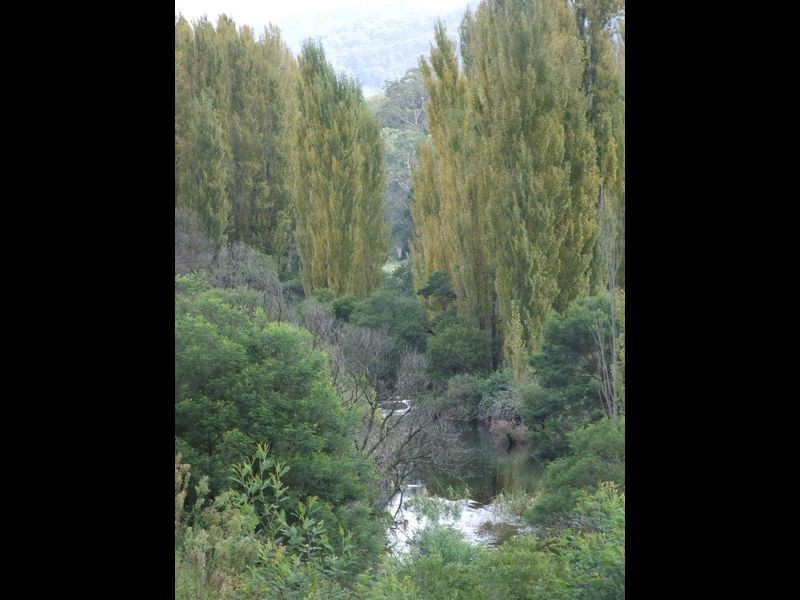 The Paddock Snowy Mountains Highway, Bemboka NSW 2550