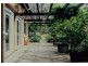 Vimy Ridge Road, Tathra NSW 2550
