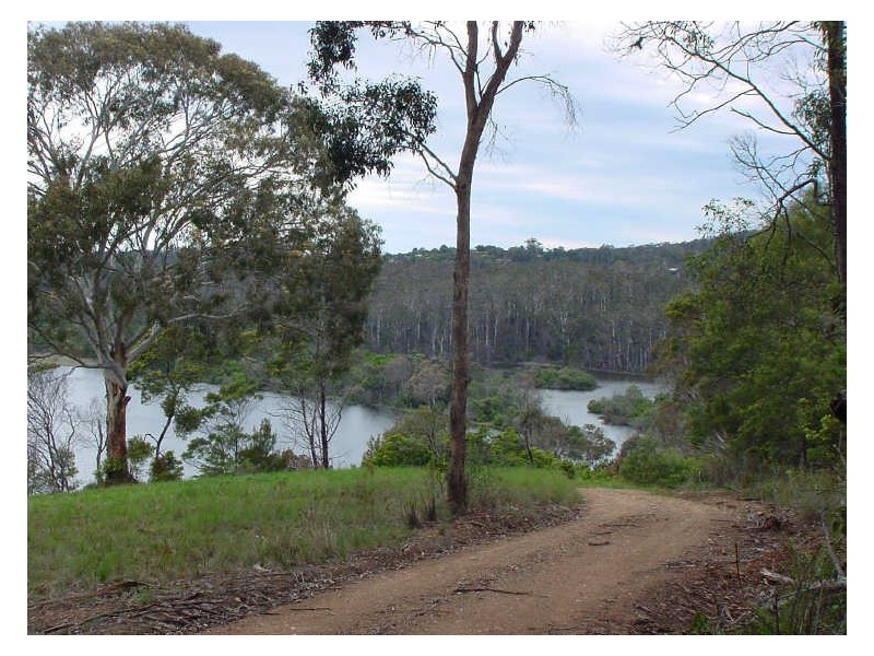 Vimy Ridge Road, Tathra NSW 2550