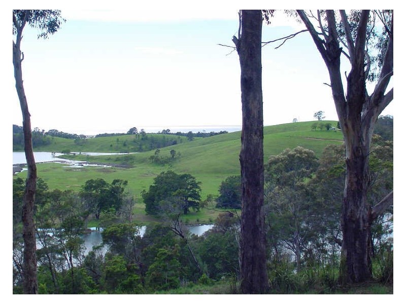 Vimy Ridge Road, Tathra NSW 2550