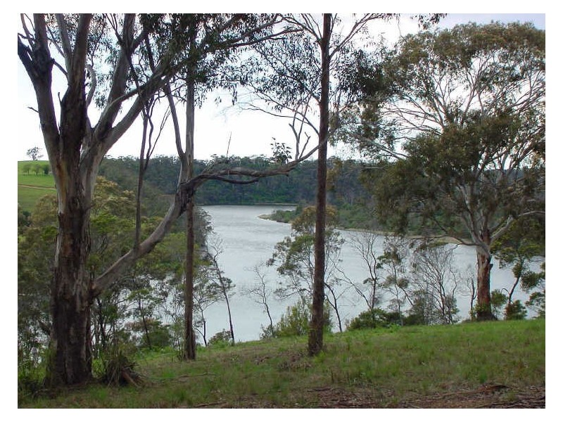 Vimy Ridge Road, Tathra NSW 2550