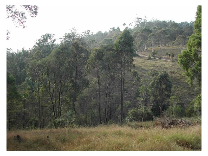 Lot 82 Blackrange Road, Bega NSW 2550