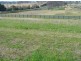 Lot 303 Howard Avenue, Bega NSW 2550