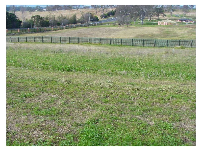 Lot 303 Howard Avenue, Bega NSW 2550