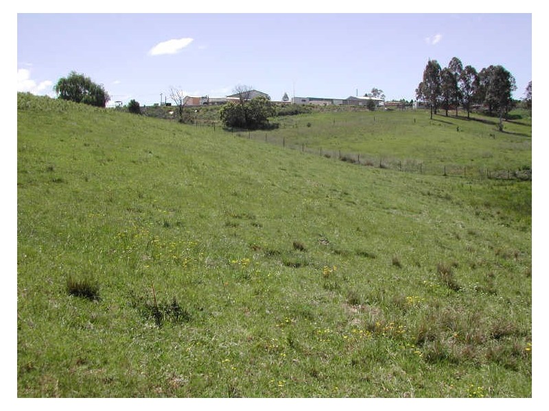 Lot 61 Ravenswood Street, Bega NSW 2550