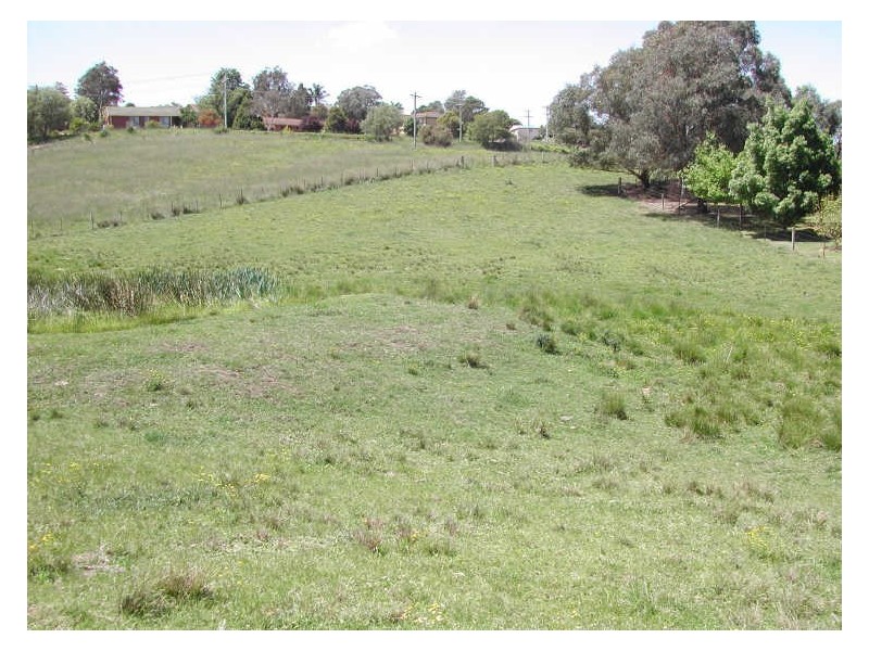 Lot 61 Ravenswood Street, Bega NSW 2550