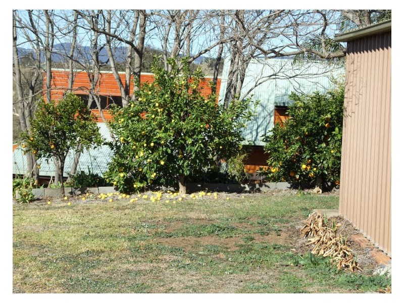 16 Candelo Street, Candelo NSW 2550