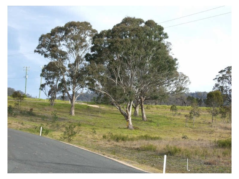 Wolumla NSW 2550