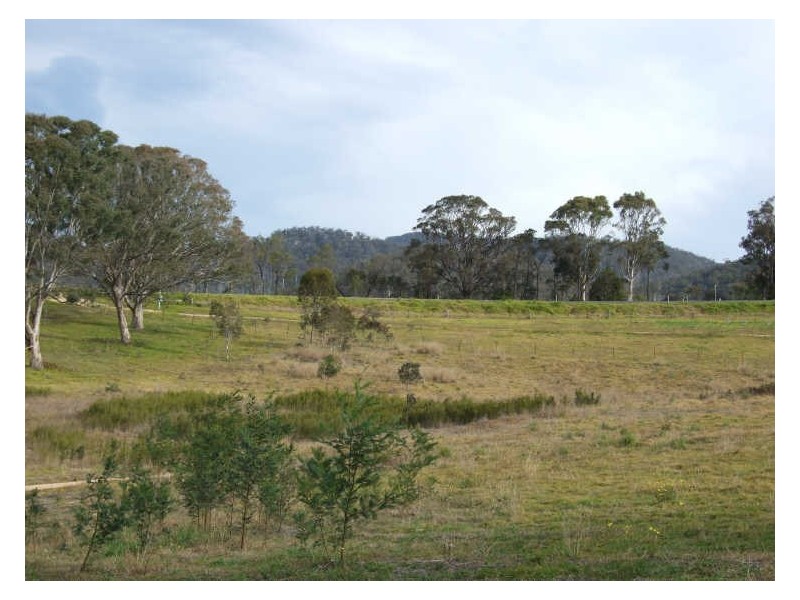 Wolumla NSW 2550