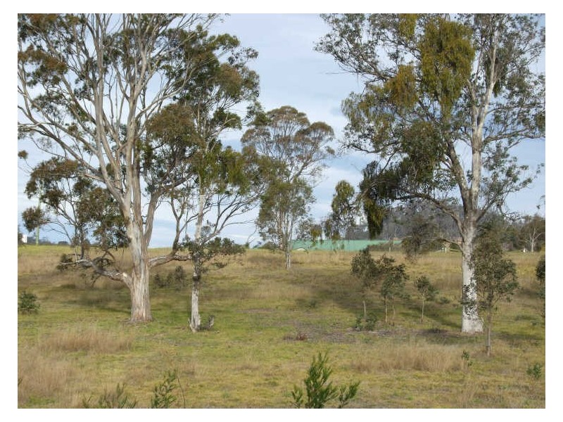 Wolumla NSW 2550