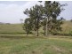 Bellmont/Garfields Road, Numbugga NSW 2550