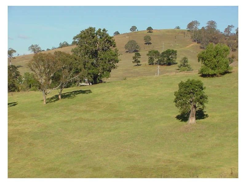 Lot 2 Coopers Gully Road, Bega NSW 2550