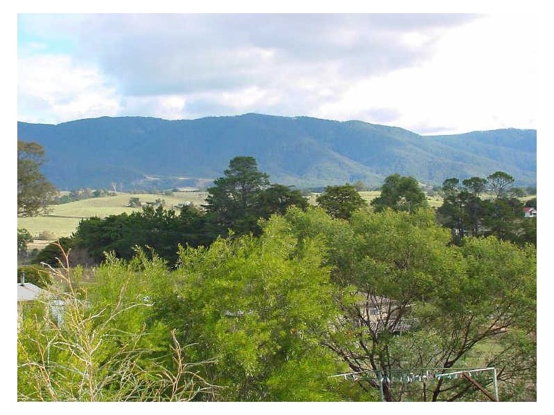 21 Loftus Street, Bemboka NSW 2550