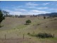 1266 Greendale Lane, Bega NSW 2550