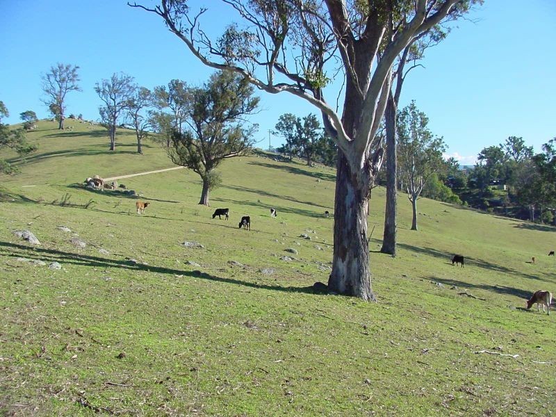 Lot 610 Peak Hill Road, Bega NSW 2550