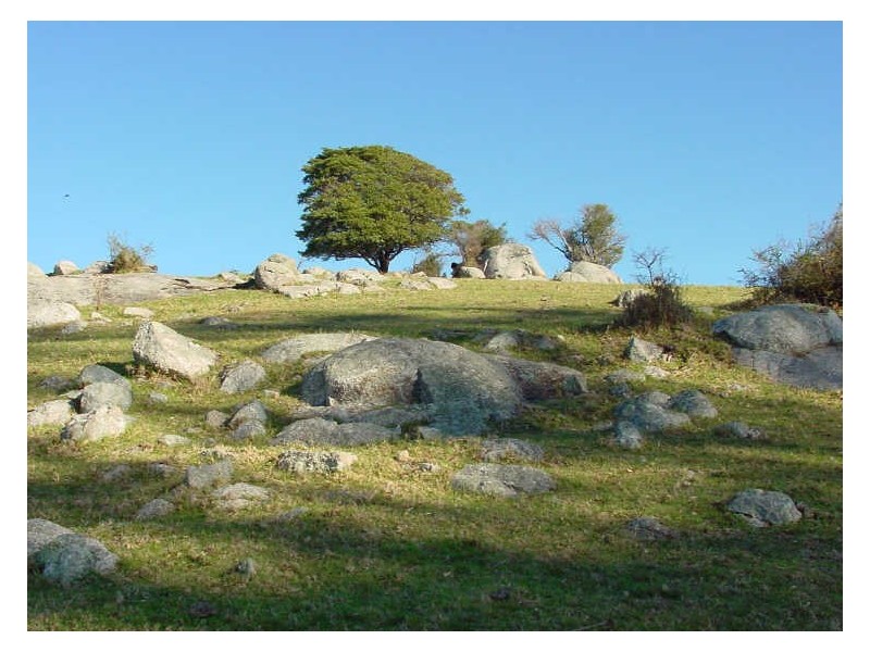 Lot 610 Peak Hill Road, Bega NSW 2550