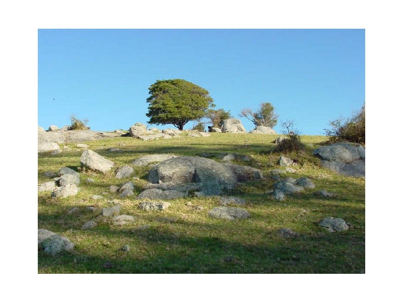 Lot 610 Peak Hill Road, Bega NSW 2550