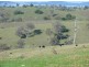 Part/Lot 613 Peak Hill Road, Bega NSW 2550