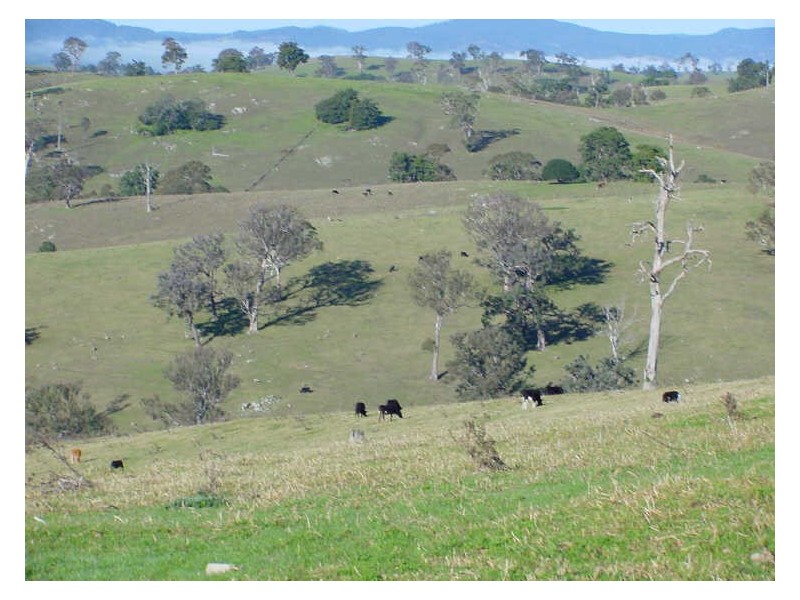 Part/Lot 613 Peak Hill Road, Bega NSW 2550