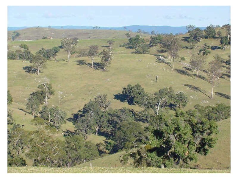 Part/Lot 613 Peak Hill Road, Bega NSW 2550