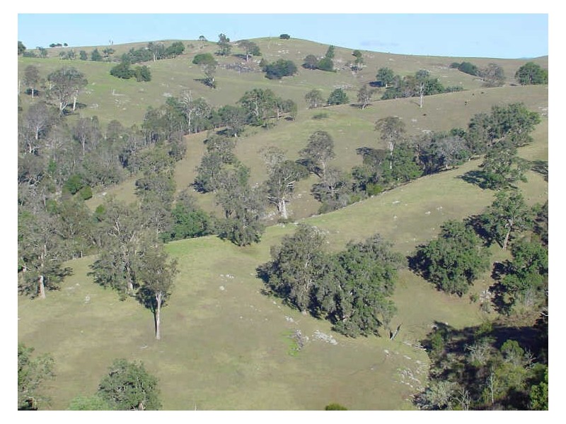 Part/Lot 613 Peak Hill Road, Bega NSW 2550