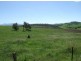 Candelo NSW 2550