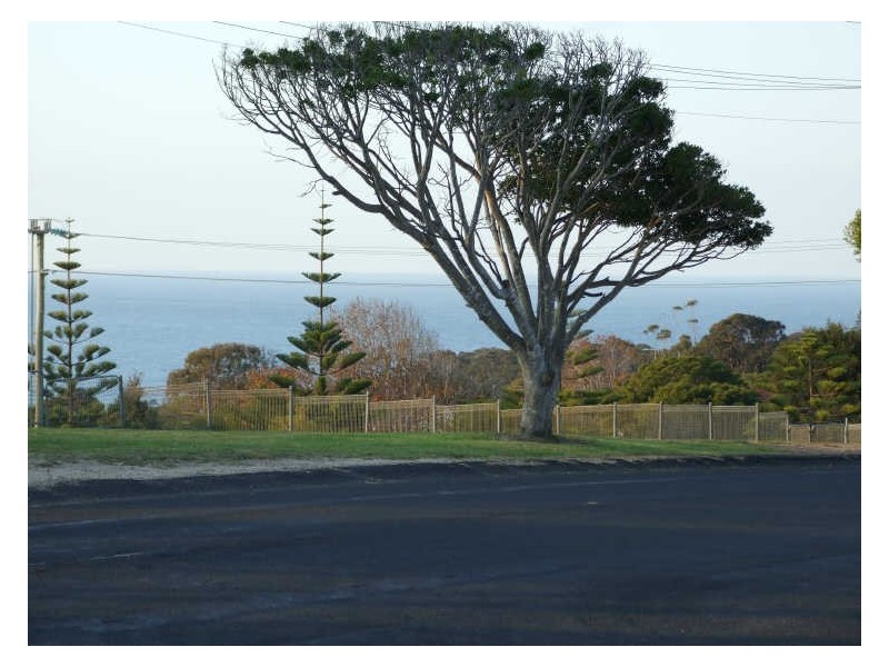 92 Bega Street, Tathra NSW 2550