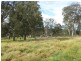 Lot 11 Thawa Close, Bega NSW 2550