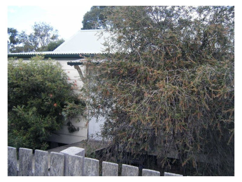 14 Bermaguee Street, Quaama NSW 2550