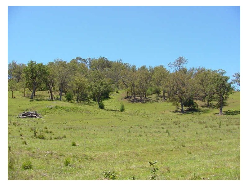 Lot 9 Slaters Lane, Candelo NSW 2550