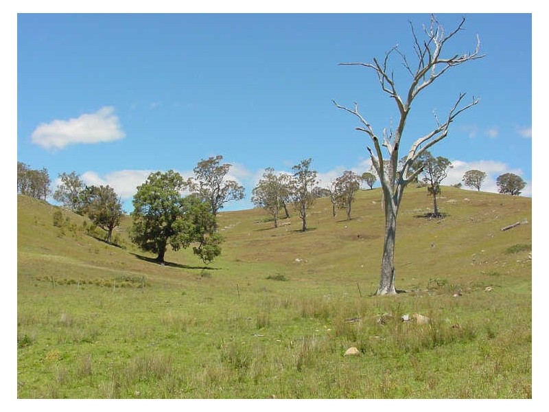 Lot 9 Slaters Lane, Candelo NSW 2550