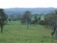 Bega NSW 2550