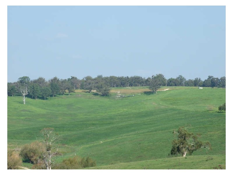 Various @ Candelo Road, Bega NSW 2550