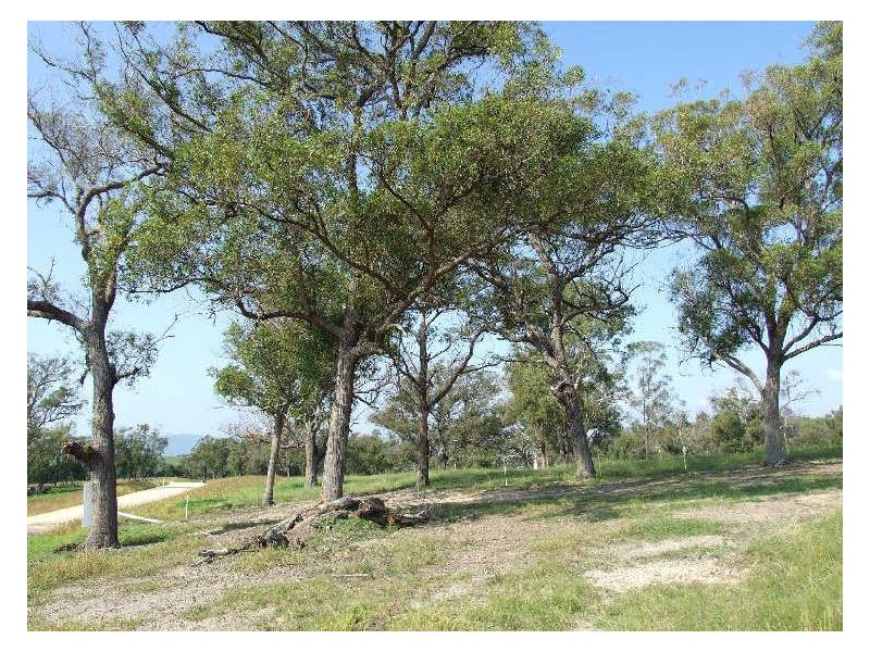 Various @ Candelo Road, Bega NSW 2550