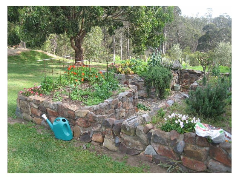 101 Barrabooka Road North, Tanja NSW 2550