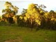 Lot 7 Jellat Way, Kalaru NSW 2550