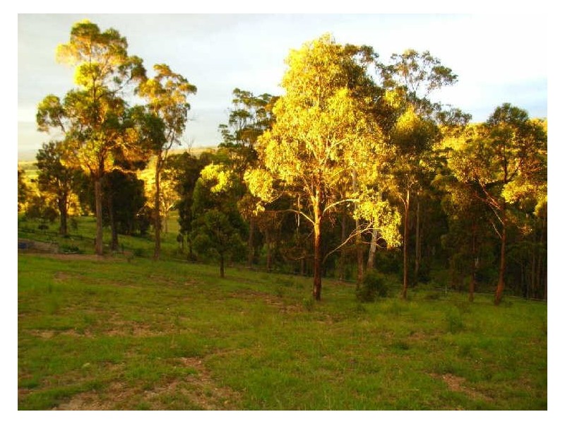 Lot 7 Jellat Way, Kalaru NSW 2550