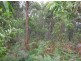 Lot 7 Jellat Way, Kalaru NSW 2550