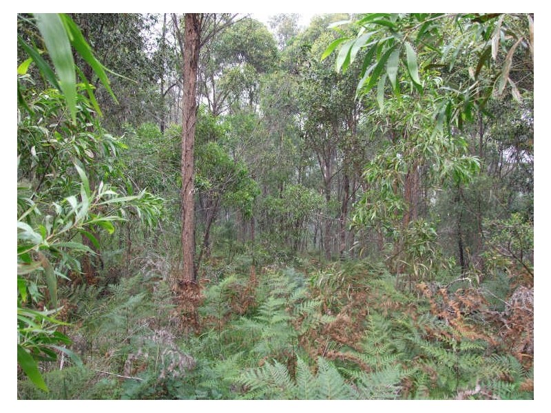 Lot 7 Jellat Way, Kalaru NSW 2550