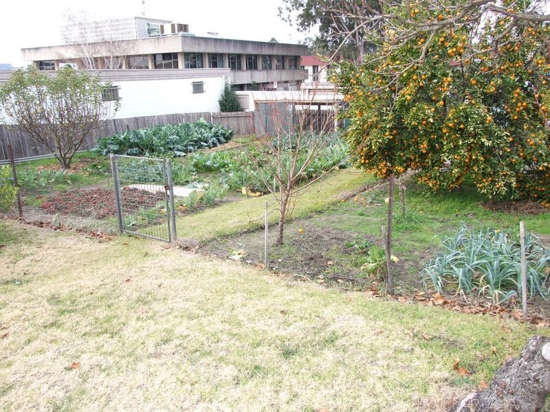 24 Peden Street, Bega NSW 2550