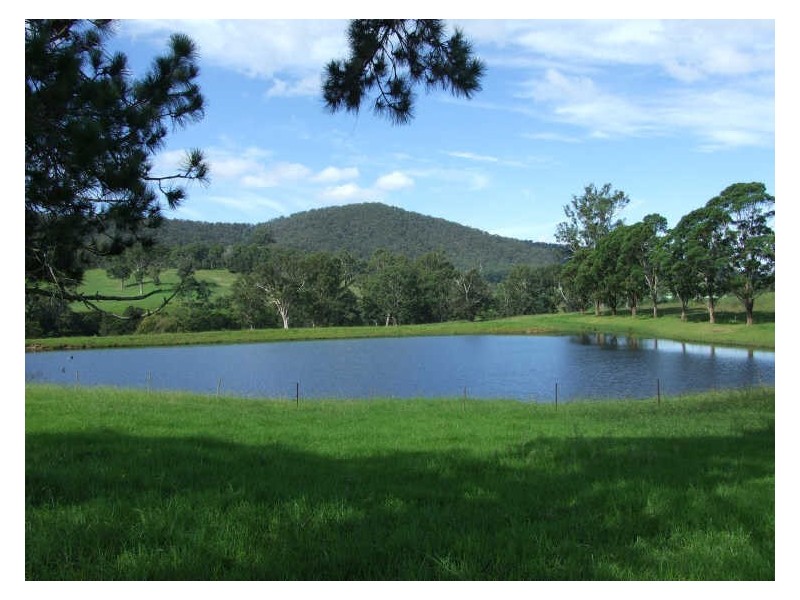 505 Wandella Road, Cobargo NSW 2550