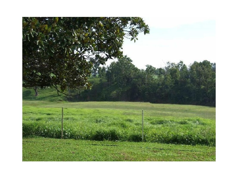 505 Wandella Road, Cobargo NSW 2550