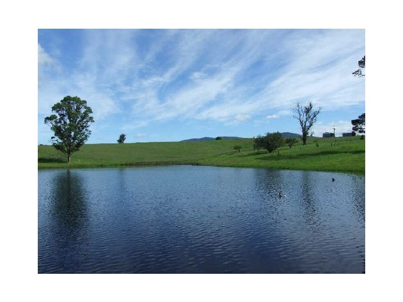 505 Wandella Road, Cobargo NSW 2550