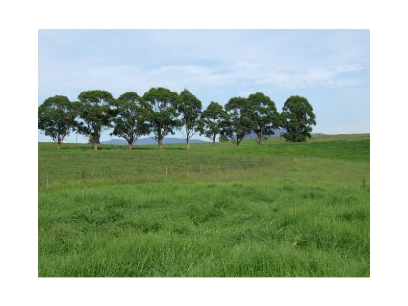 505 Wandella Road, Cobargo NSW 2550